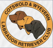 Cotswold and Wyevern Labrador Retriever Club